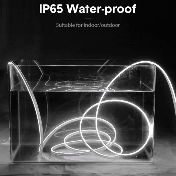 CJ-1206 12V 6A 5m IP65 Waterproof Silicone Neon LED Strip Light(White)