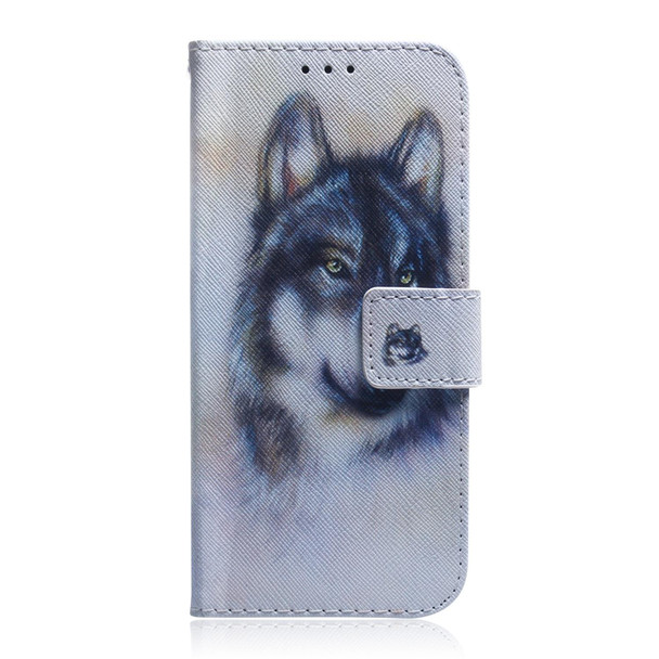 Tecno Camon 19 Coloured Drawing Leather Phone Case(White Wolf)