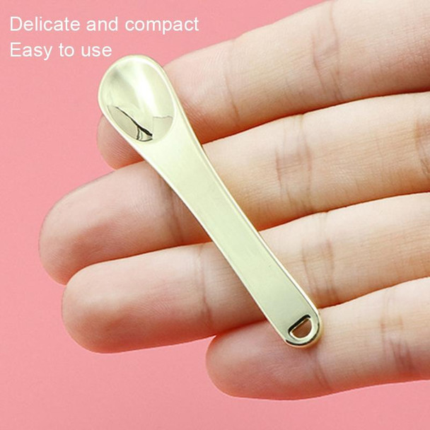 10 PCS Zinc Alloy Cosmetics Spoons Cream Split Spoon(Silver)