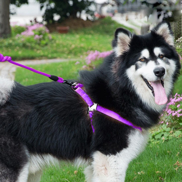 Pet Dog Collar + Harness + Leash Three Sets, M, Harness Chest Size: 43-67cm, Collar Neck Size: 33-52cm, Pet Weight: 15kg Below (Purple)