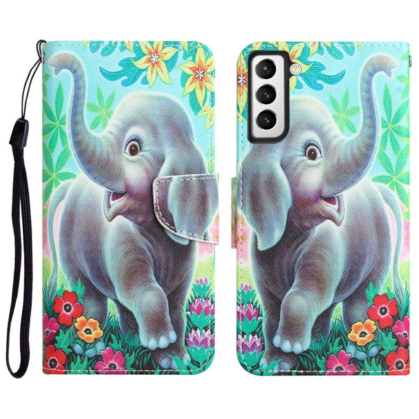 Samsung Galaxy S21 5G Colored Drawing Leather Phone Case(Elephant)