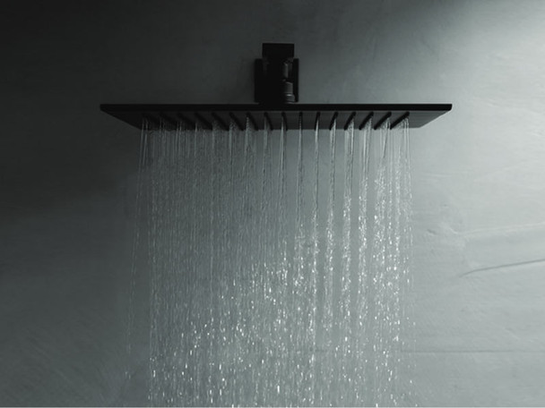 Matt Black Shower Head