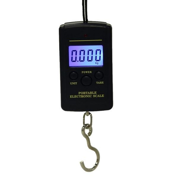 10g Mini Digital Fishing Scale Travel Weighting Steelyard Hanging Electronic Hook Scale Kitchen Weight Tool, Capacity:40kg with backlight