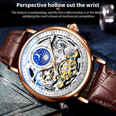 OLEVS 9001 Men Hollow Luminous Waterproof Mechanical Watch(Rose Gold ...