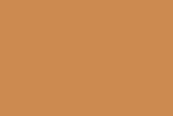 Live Wire Paint Color Sample in the Oranges Family. C2 color number C2-574