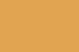 Amontillado Paint Color Sample in the Yellows Family. C2 color number C2-589