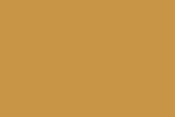 Gilded Paint Color Sample in the Yellows Family. C2 color number C2-634