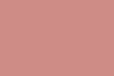 Color sample of Calf's Snout, a color in the Pale Reds & Oranges family of the Barry Dixon The Naturals C2 color line