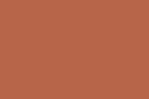 Tiger Lily Paint Color Sample in the Oranges Family. C2 color number C2-586