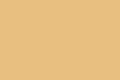Frittata Paint Color Sample in the Yellows Family. C2 color number C2-606