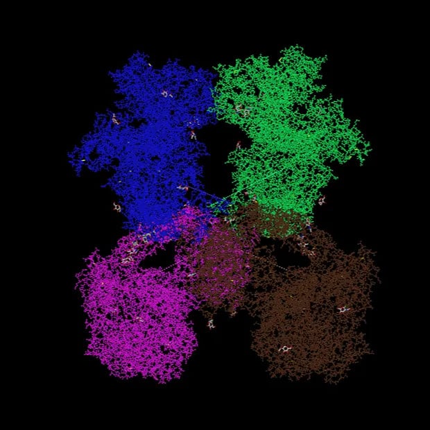 3D Protein Image - Alpha 2 Macroglobulin