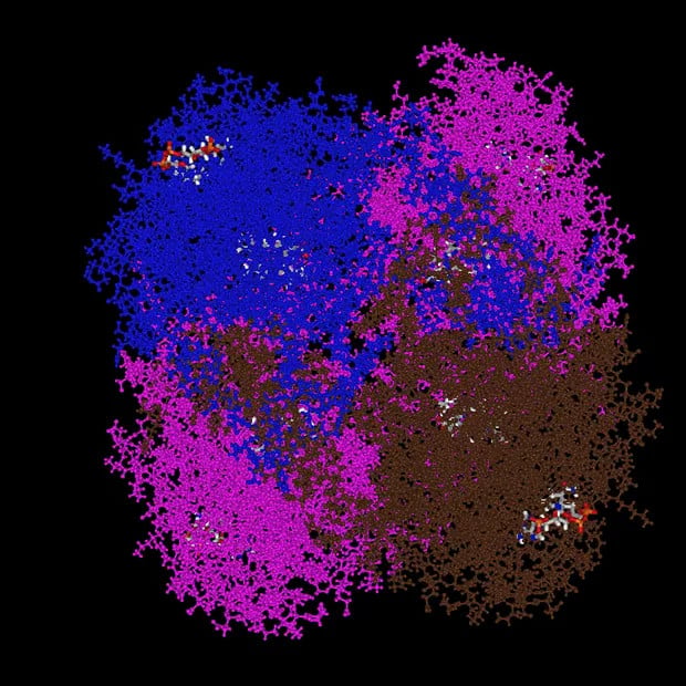 3D Protein Image - Catalase