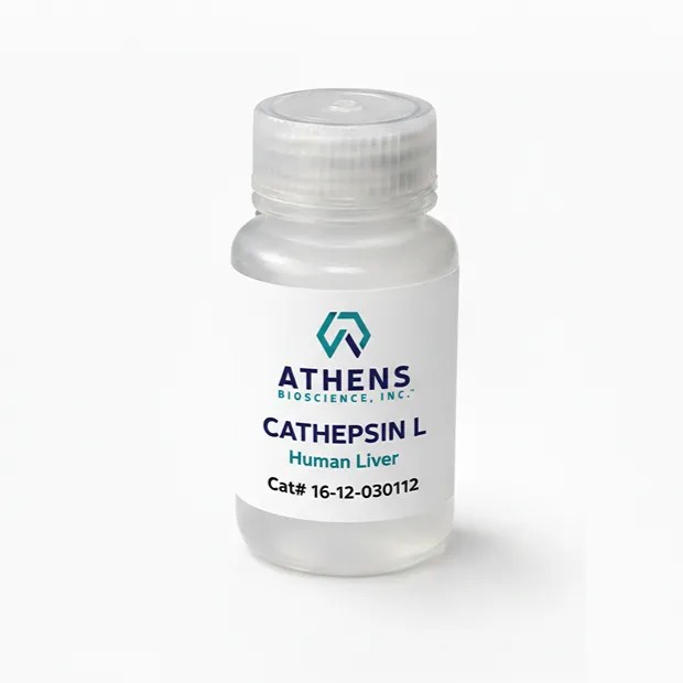 Retail Packaging Image - Cathepsin L