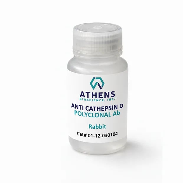 Retail Packaging Image - Anti-Cathepsin D, Polyclonal Ab