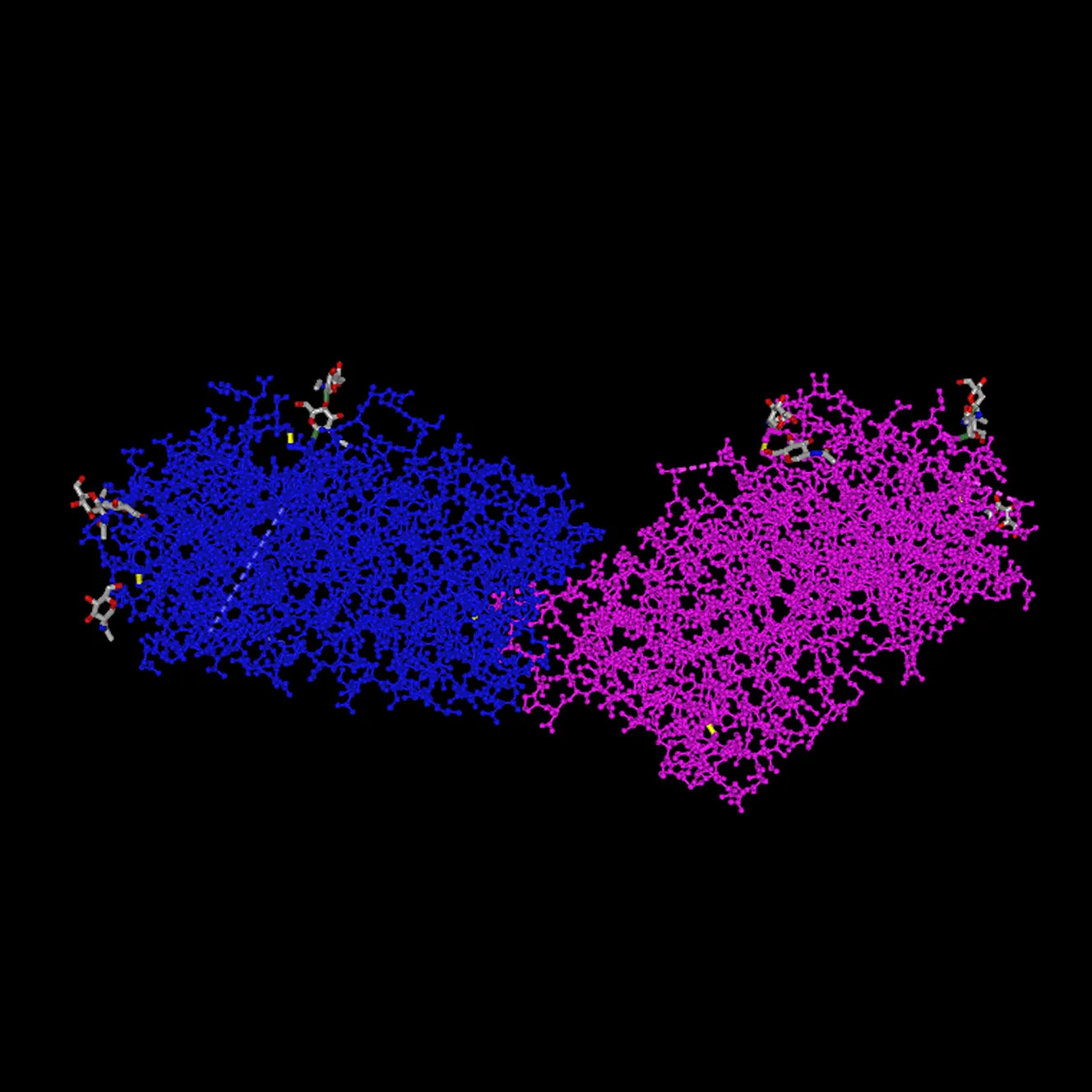 3D Protein Model