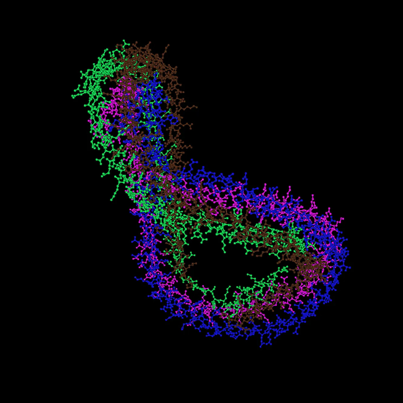 3D Protein Model