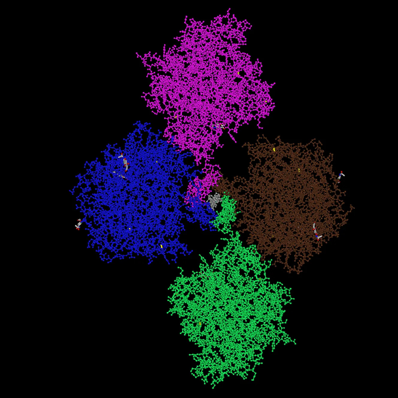 3D Protein Model