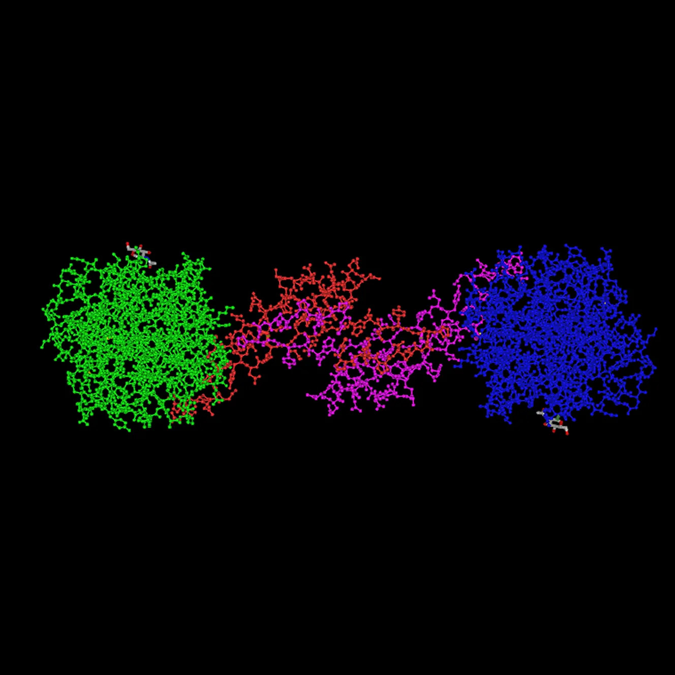 3D Protein Model