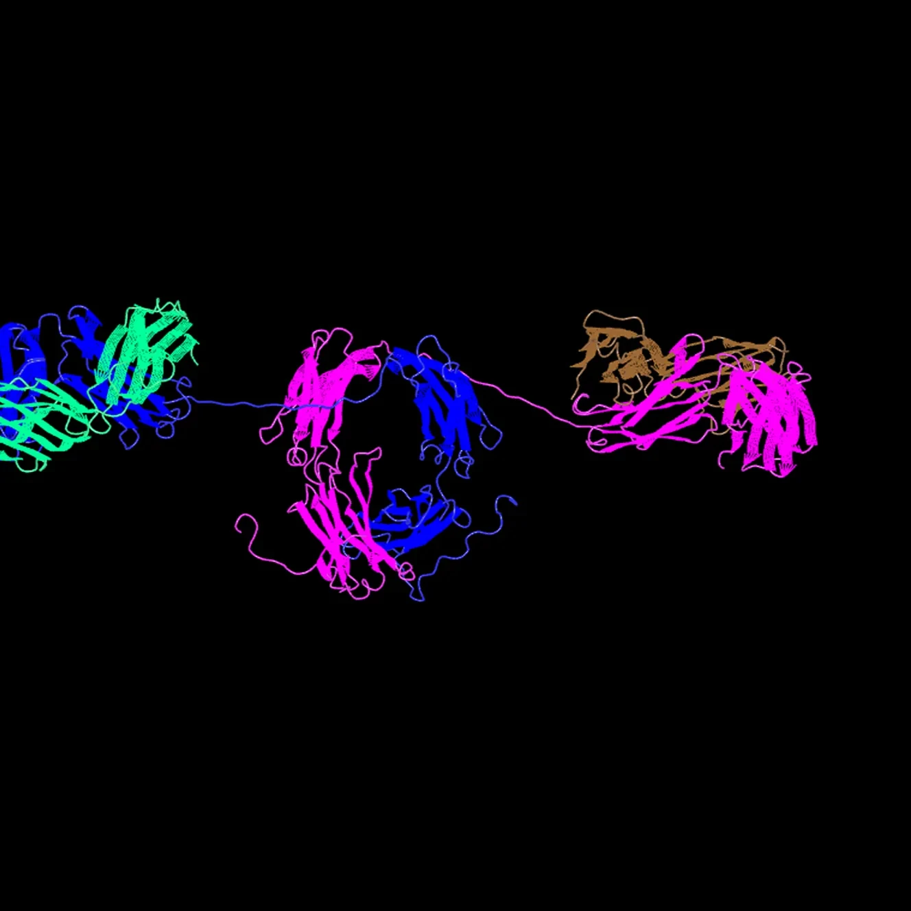3D Protein Model