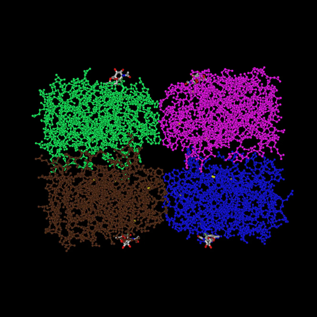 3D Protein Model