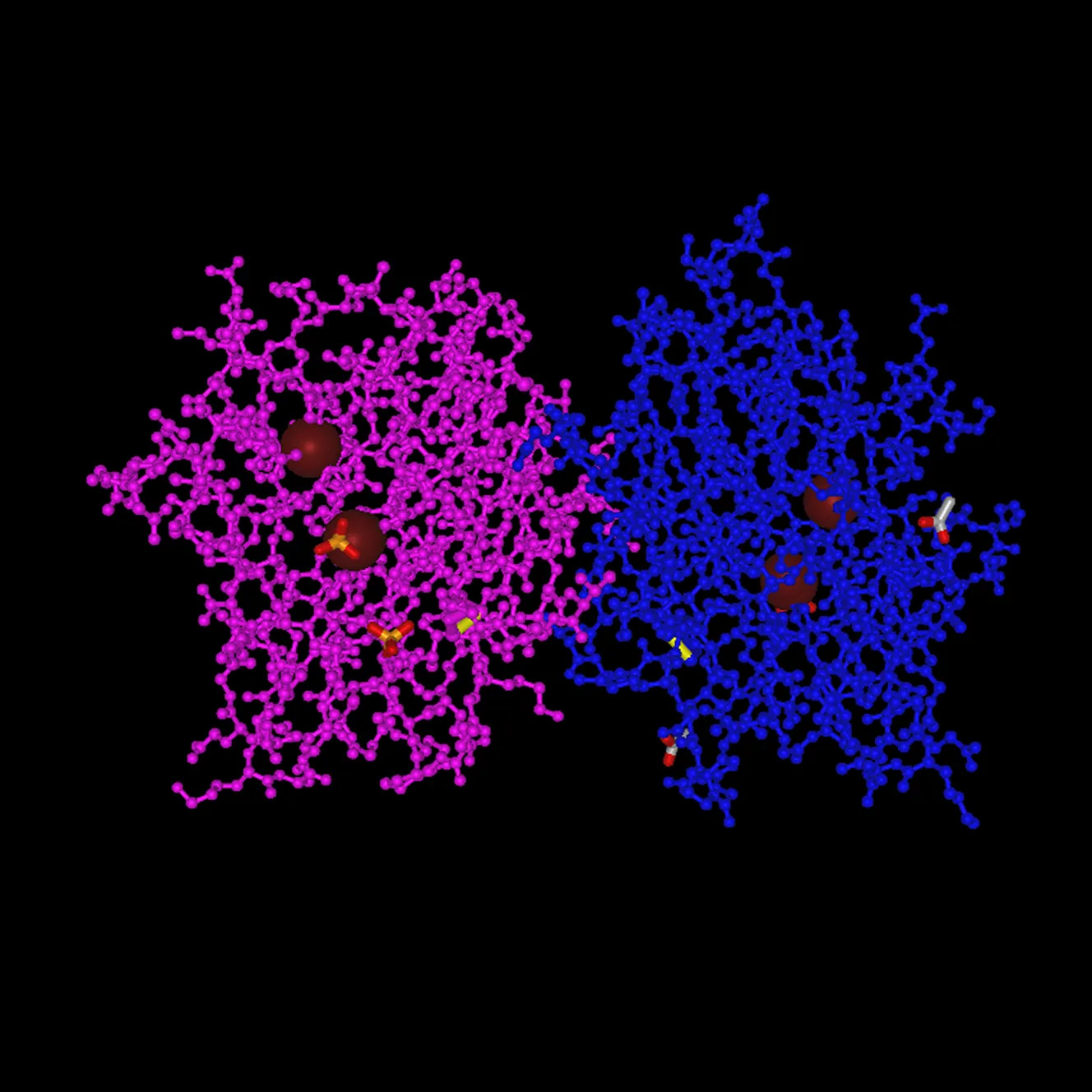 3D Protein Model