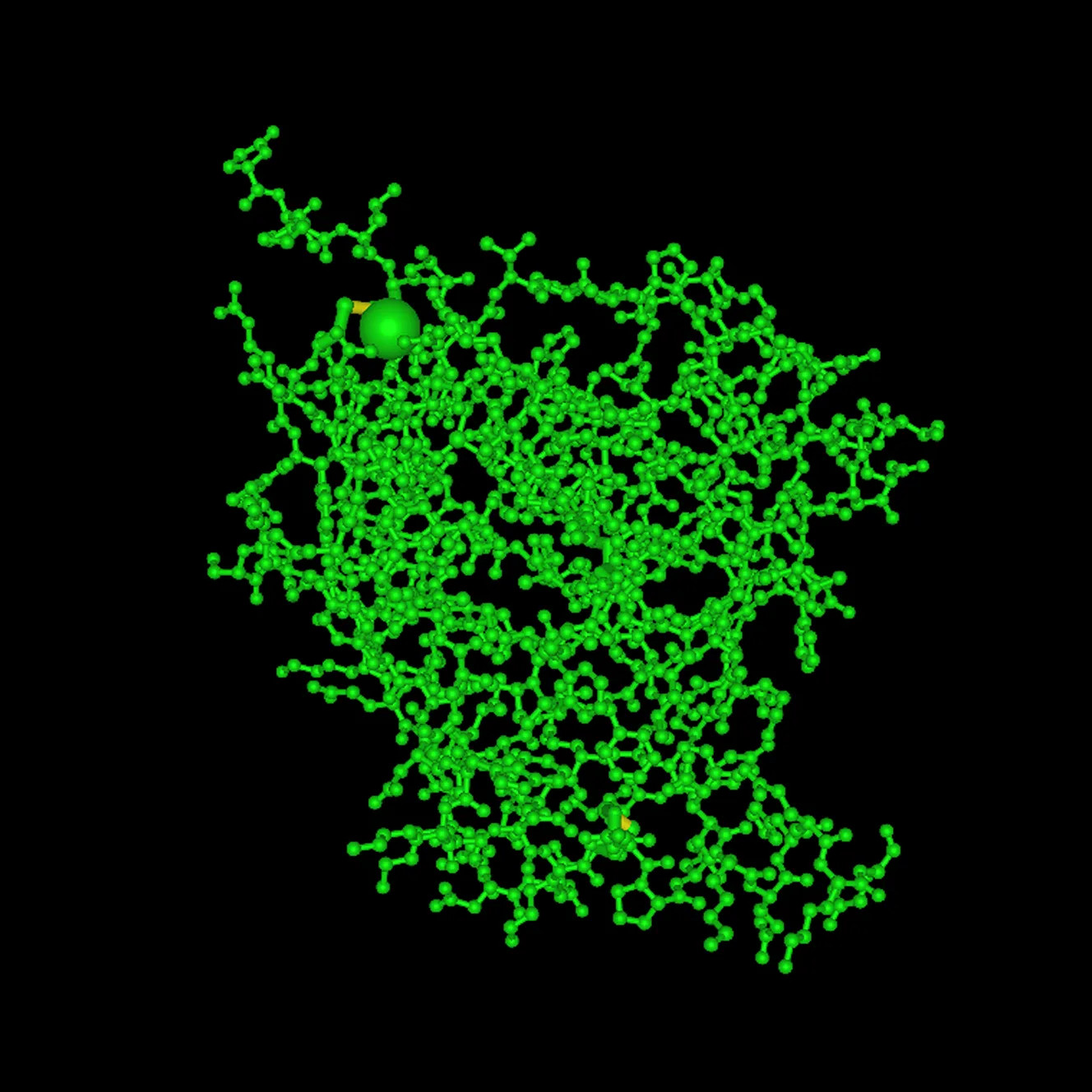 3D Protein Model