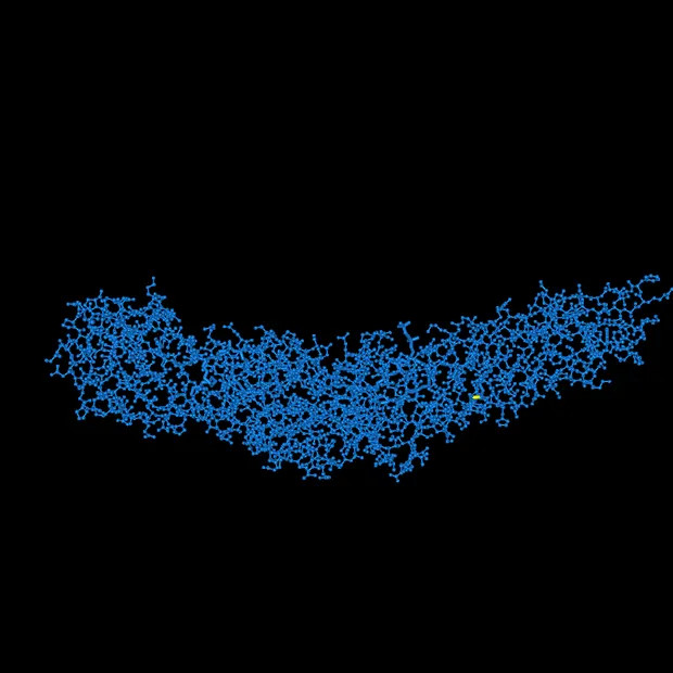 3D Protein Image - Bacterial/Permeability-Increasing Protein