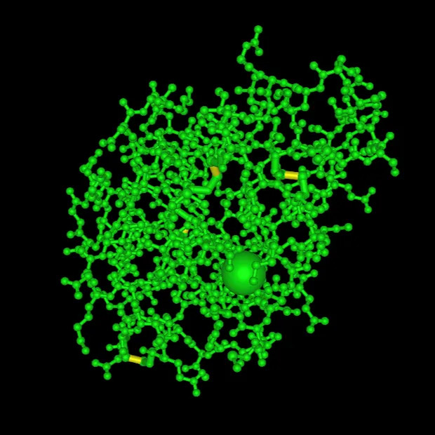 3D Protein Image - Lactalbumin