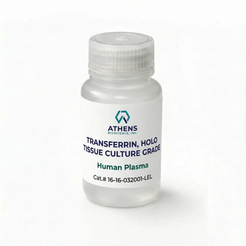 Retail Packaging