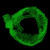 3D Protein Model