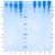 Apolipoprotein B, Immunogen Grade