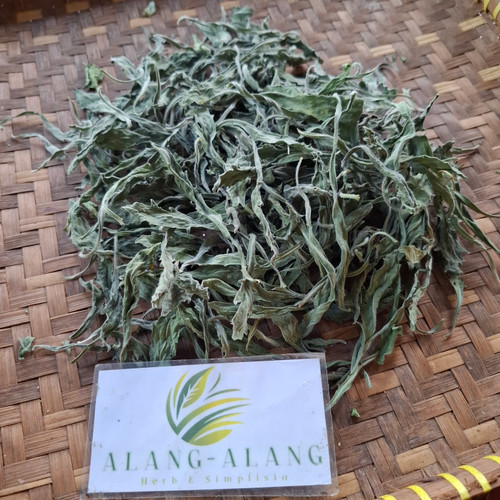 Jalantir (Erigeron sumatrensis) Guernsey Fleabane, 600 Grams