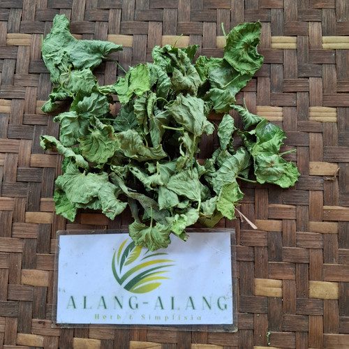 Pegagan (Centella Asiatica) Indian Pennywort, 90 Grams