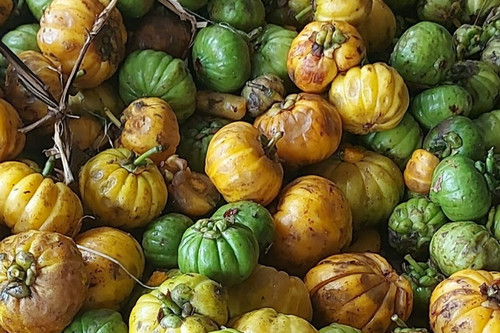Asam Gelugur - Garcinia atroviridis Dried, 200 Grams