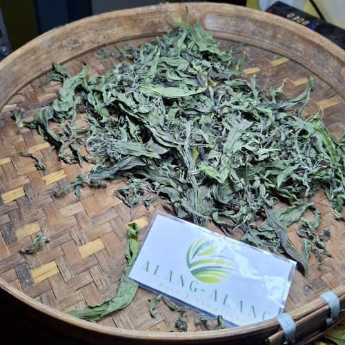 Urang Aring Eclipta Prostrata, 600 Grams
