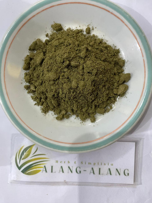 Putri Malu (Mimosa pudica) Shameplant, 780 Grams