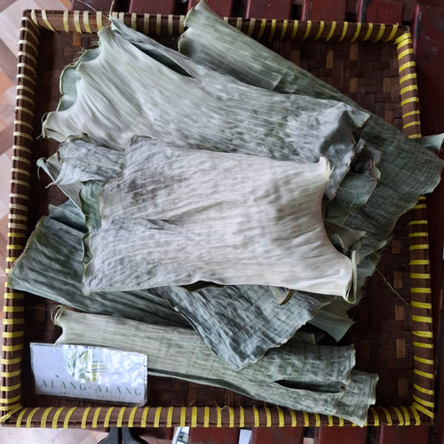 Daun Pisang Banana Dried Leaves, 85 Grams