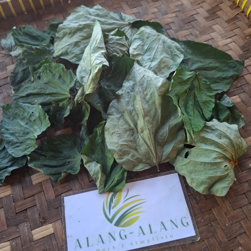 Sirih Tanah ( Piper Sarmentosum ) Wild Betel, 180 Grams