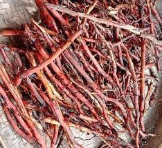 Akar Kelapa - Coconut Tree root dried, 900 Grams