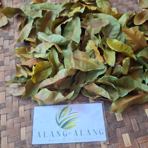 Bird's eye bush (Ochna Serrulata), 30 Gram