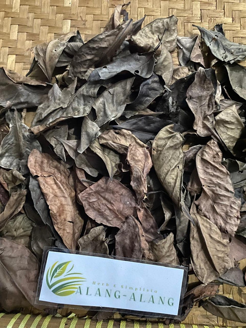 Salam (Syzygium polyanthum) Indonesian Bay leaf, 30 Grams