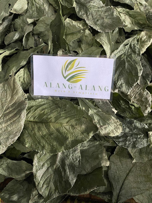 Keji Beling (Strobilanthes crispa), 30 Grams