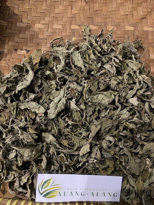 Sembung Kuwuk (Blumea lacera), 30 Gram