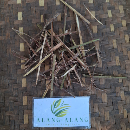 Kulit Batang Kersen (Muntingia calabura) Kersen Bark Dried, 30 Grams