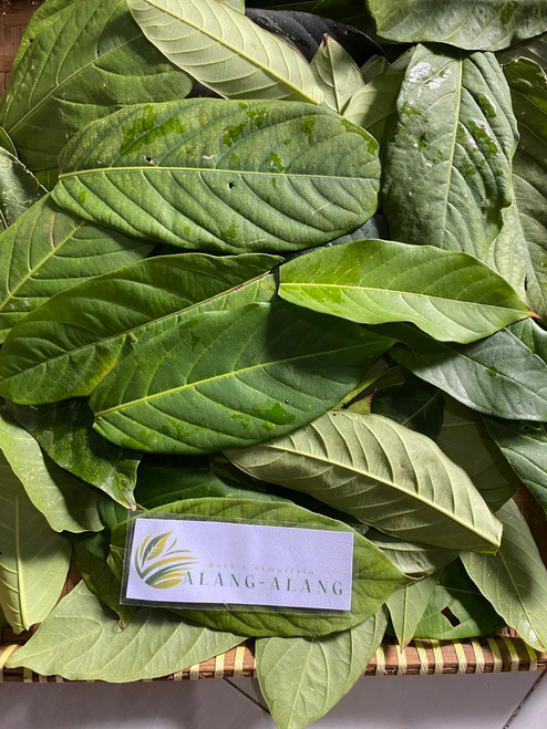 Bungur (Lagerstroemia speciosa), 30 Grams