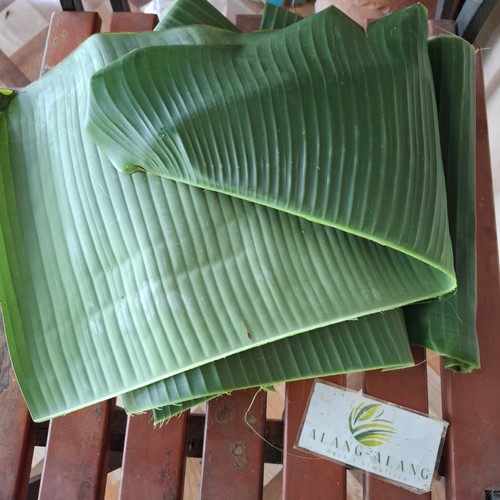 Daun Pisang Banana Dried Leaves, 50 Grams