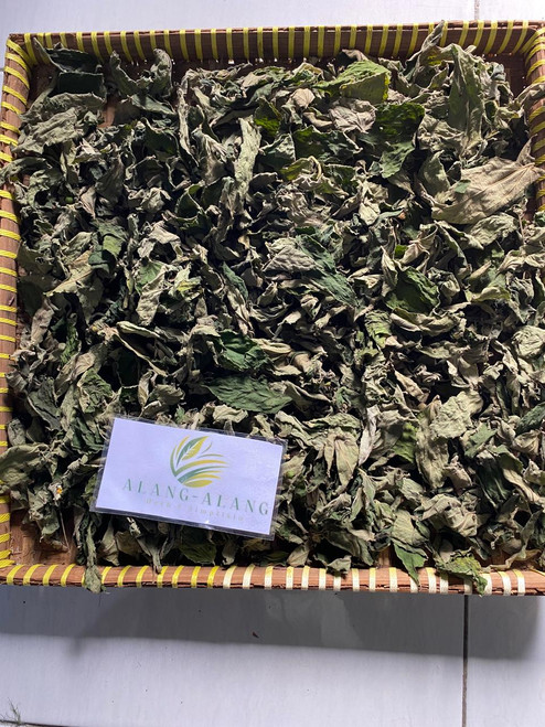 Kersen (Muntingia calabura), 30 Grams
