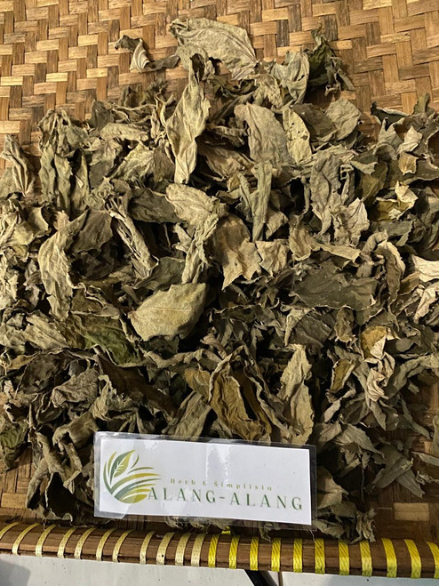Kersen (Muntingia calabura), 600 Grams