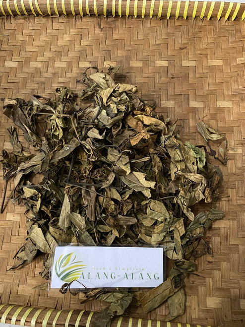 Prasman (Ayapana triplinervis), 180 Grams