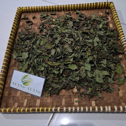 Sangketan (Heliotropium indicum) Indian Turnsole, 780 Gram